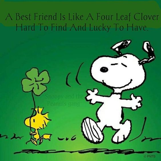 ArciaTM's tweet photo. Happy St Patricks day!
Wishes peace and love for everyone.
#StPatricksDay  #F4F https://t.co/oR8bzSs33k