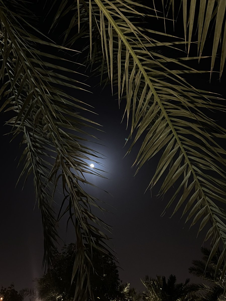ath262's tweet photo. ليلة خميس طرّز بها نور القمر ❤️❤️. https://t.co/pCKuYGBliC