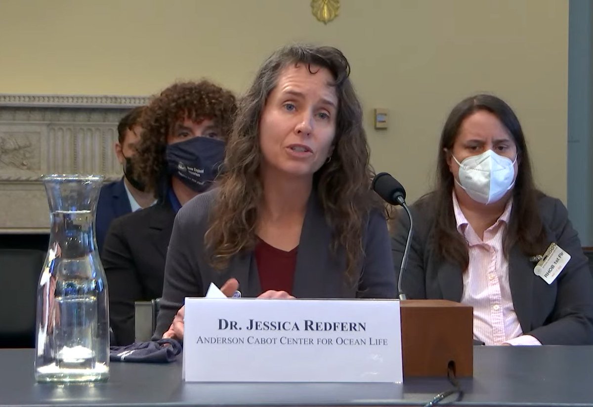 NEAQ's tweet photo. Today, @CenterOceanLife Senior Scientist Dr. Jessica Redfern testified before @NRDems Water, Oceans, and Wildlife subcommittee regarding the additional #conservation and management efforts needed to ensure the long-term survival of all our #MarineMammal populations. https://t.co/7oisPEoX3J