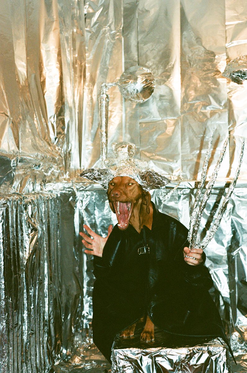 Daniel Gebhart (<a href="/doublekoek/">Koekkoek</a>) established himself as an in-demand comedian of a photo scene while proving that he is up to the challenge of successfully doing comedy in an artistic context.

Koekkoek | Doggystyle
🧵 1|3 Fellowship Futures Collection
foundation.app/collection/dog…