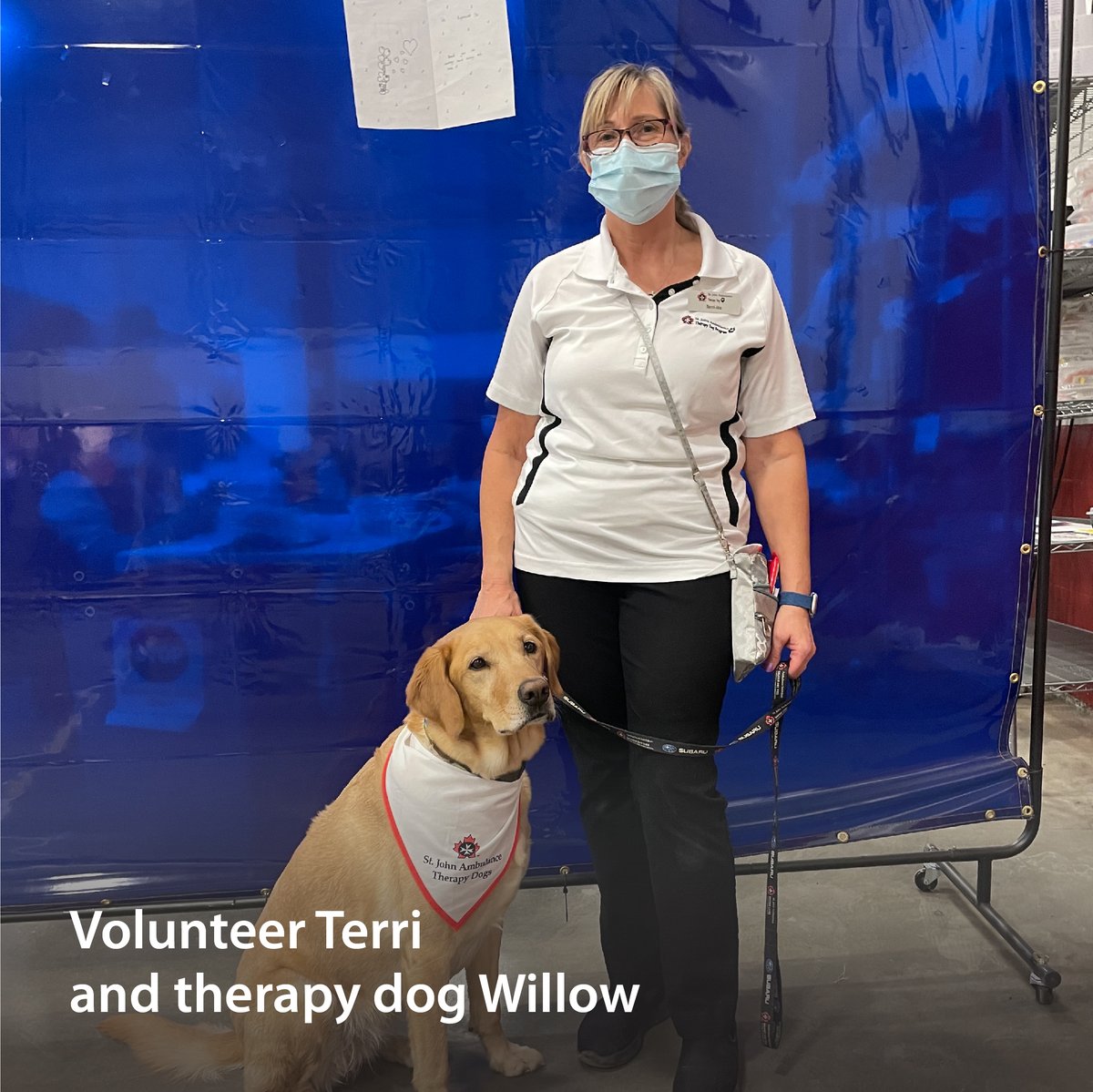 Fraserhealth's tweet photo. Our Abbotsford COVID-19 immunization team received a special visit from some of St. John Ambulance’s four-legged volunteers. They were eager to provide a helping paw in bringing smiles to people getting vaccinated.
Read more: https://t.co/ncIqhMKOjY
@SJA_BCYT | #BCimmUNITY https://t.co/ShCabPHPoZ