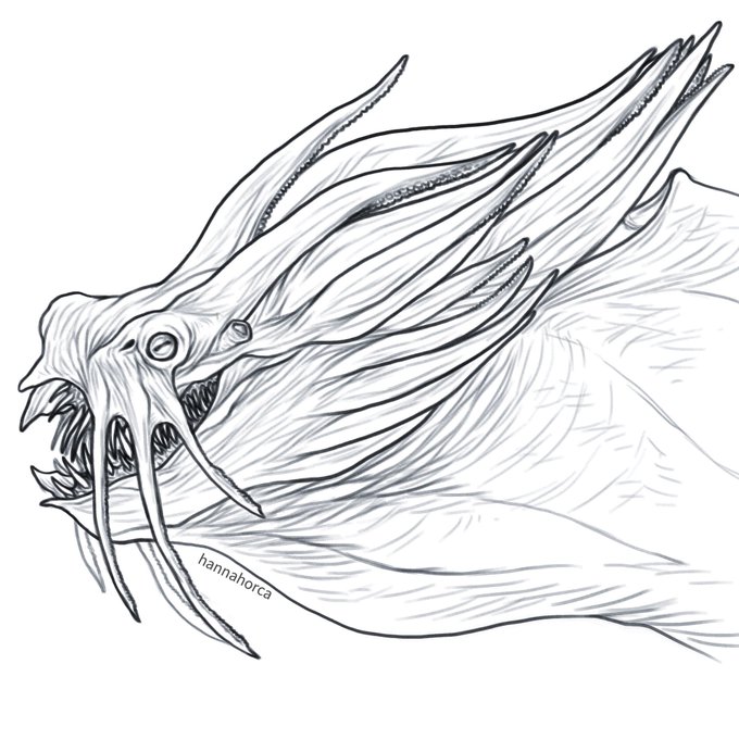 Squid dragon 🦑 
