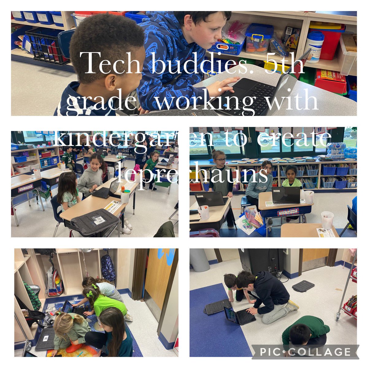 Susan Murphy tweet media