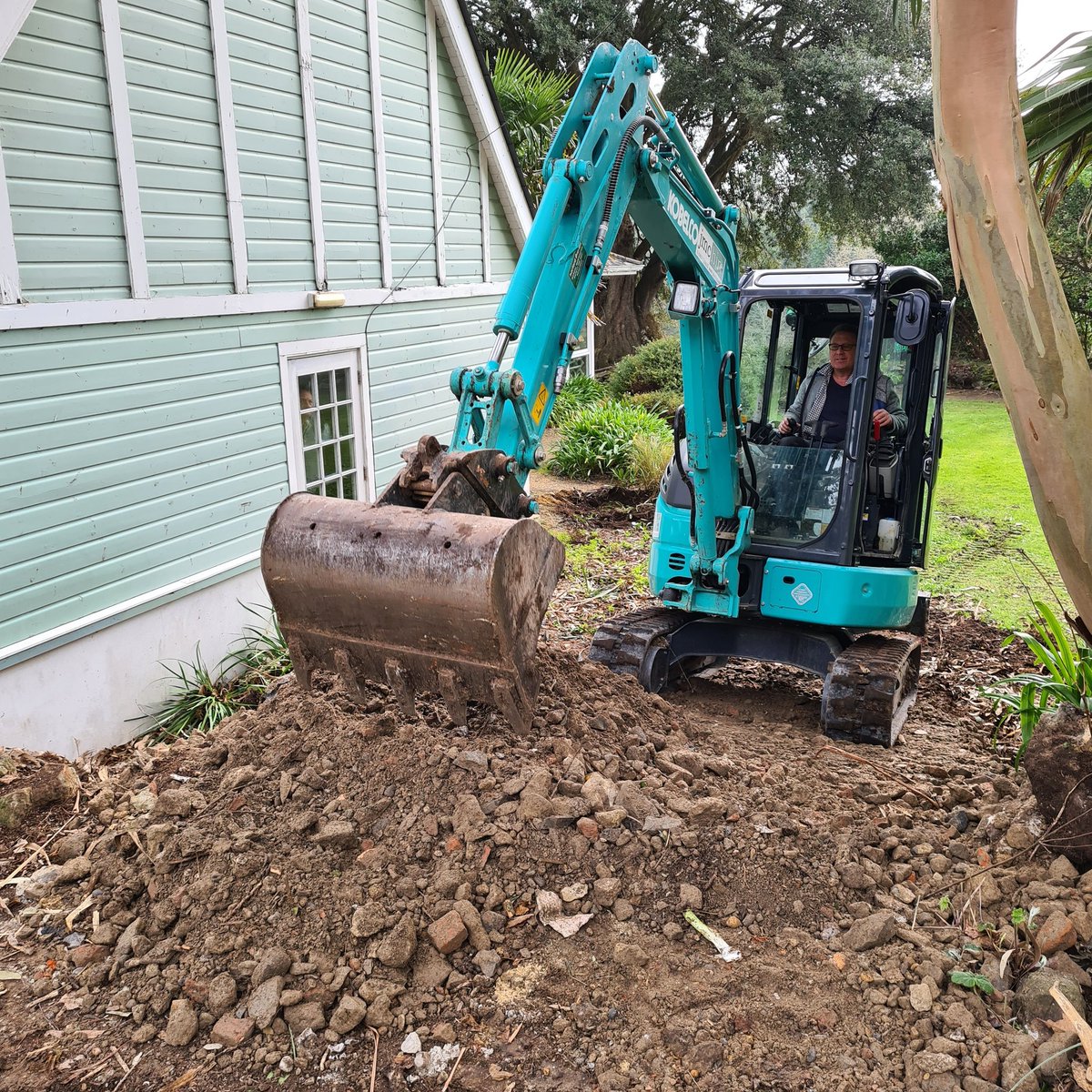 Ventnor Botanic Garden tweet media