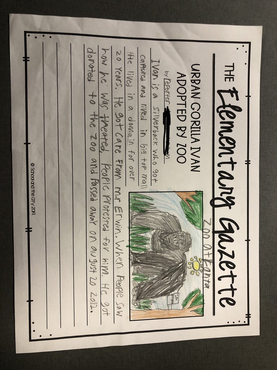 The book “The One and Only Ivan” meant so much to our class! When the kids found out Ivan’s life was based on a true story, we had to dig a little deeper! Check out these awesome researchers, zoologists, and news reporters in action! 📰🦍