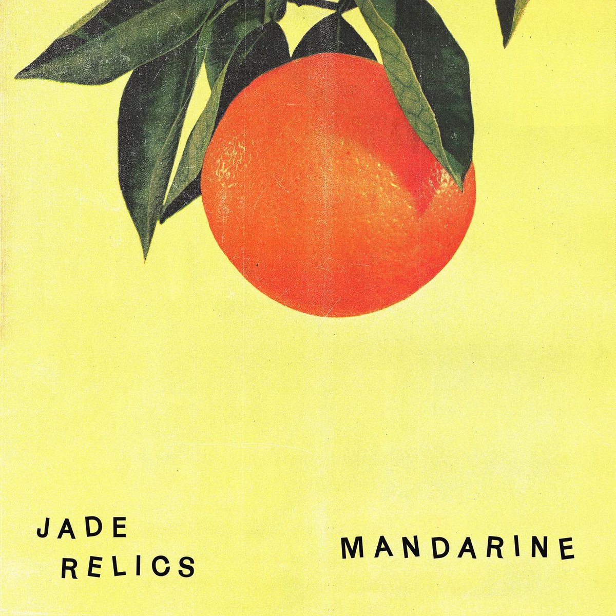 IAMEmusic's tweet photo. New Jade Relics EP out 3/25 on Bandcamp + pre-orders for limited edition cassettes &amp; shirts 🍊

Artwork by @tierceworks 

https://t.co/kNivmML7zm https://t.co/G9oocJWVcz