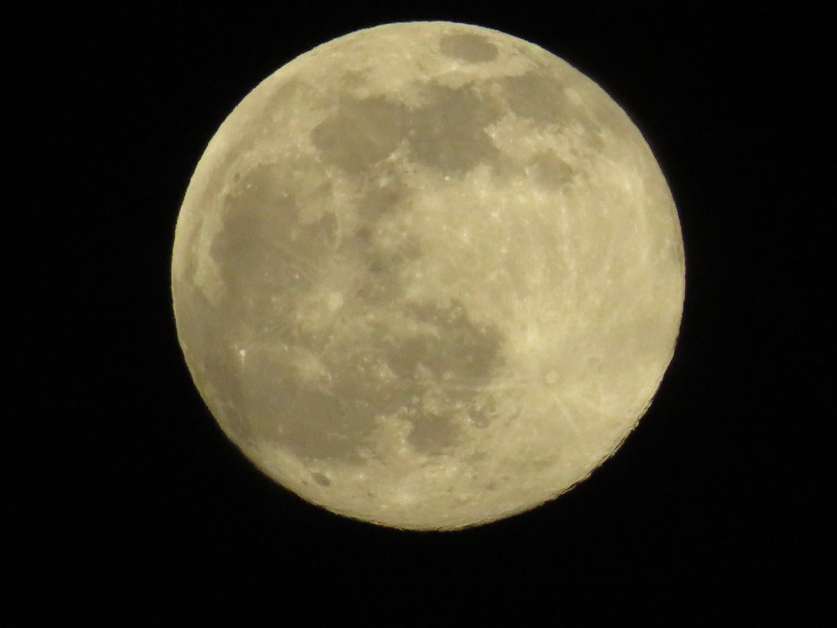 TraceyHam4's tweet photo. loving the #wormmoon https://t.co/8t2Q5WvJZU