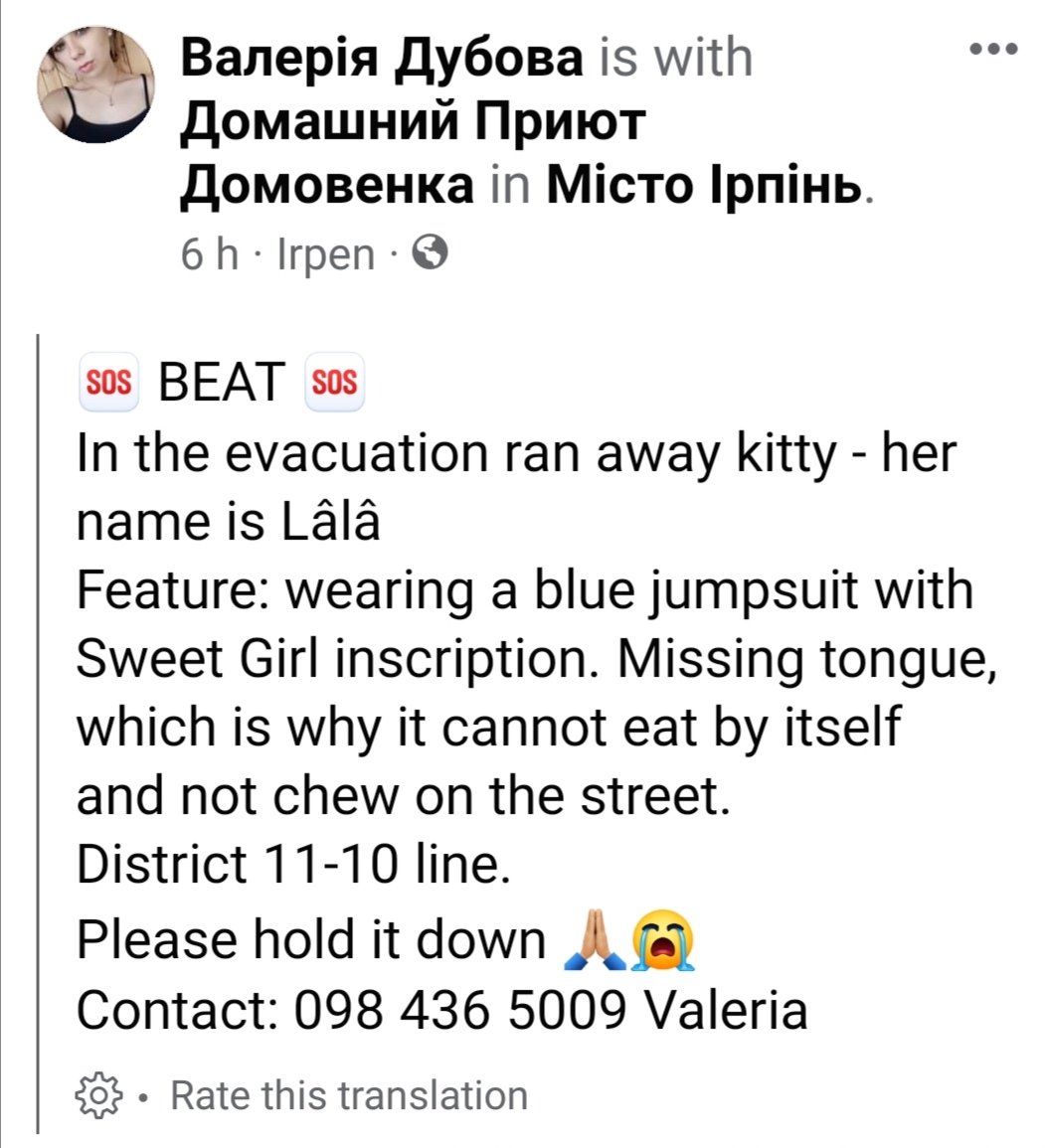 HunnyJax's tweet photo. #Irpen #Ukraine 🆘
#LostCatAlert 😿
Worrying Facebook post😿with NO TONGUE ESCAPED during evacuation 😱PLEASE LOOKOUT for HER
🆘🆘
Район 11-10 лінія
Спіймайте будь ласка
Контакт: 098 436 5009 Валерія
https://t.co/xdlx28nw6h https://t.co/WlziQLE9BP