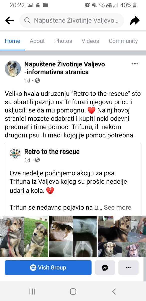 evoidebombili's tweet image. 