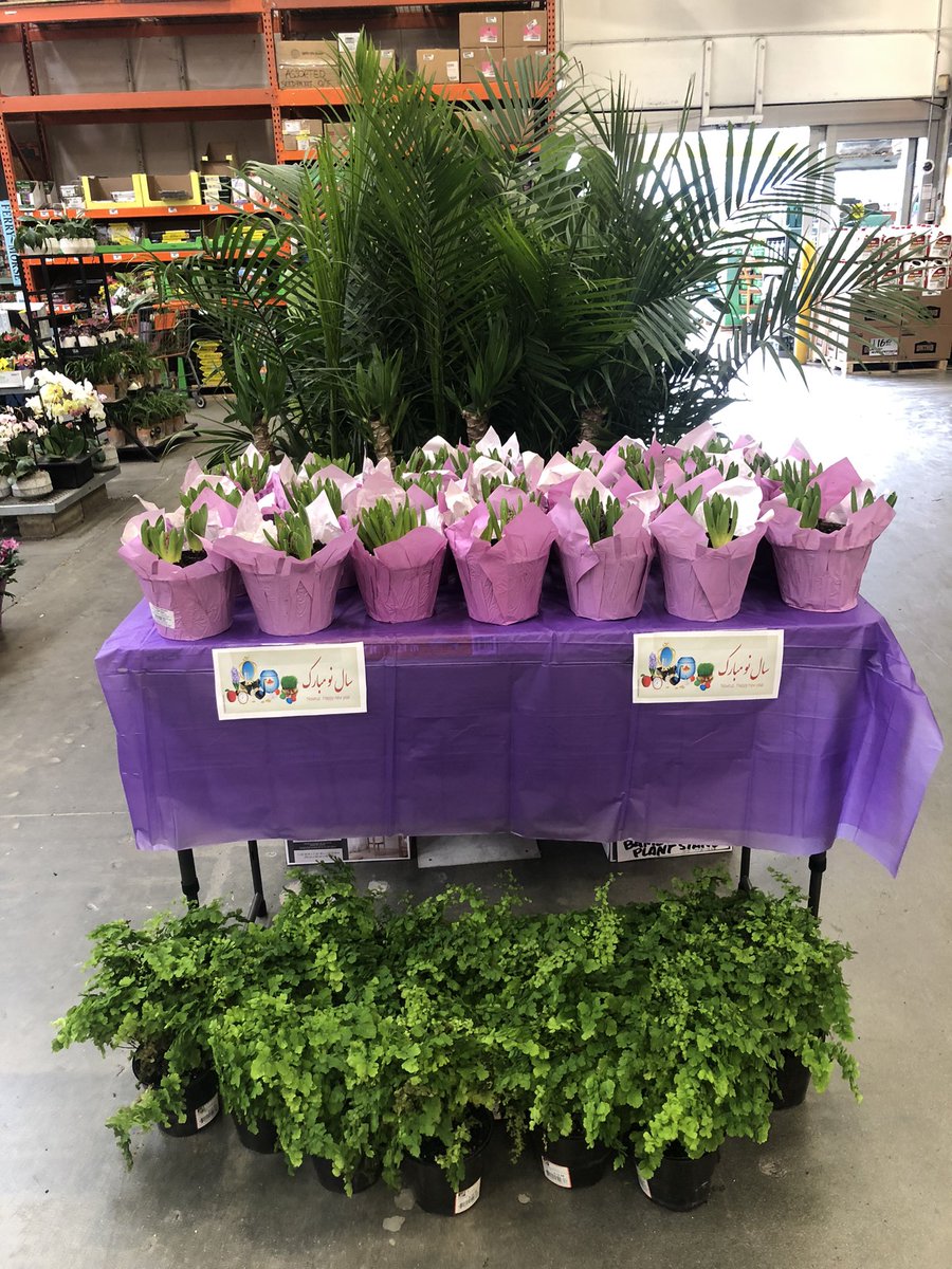 MarthaparkerJ's tweet photo. Ready for the weekend at Woodland Hills Home Depot! #6632 https://t.co/DujDNtAQH8