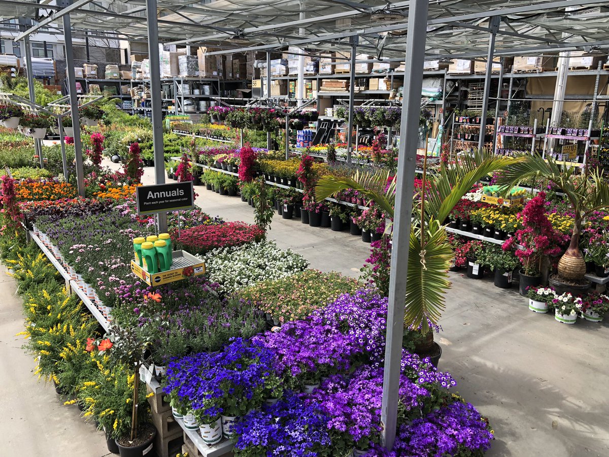 MarthaparkerJ's tweet photo. Ready for the weekend at Woodland Hills Home Depot! #6632 https://t.co/DujDNtAQH8