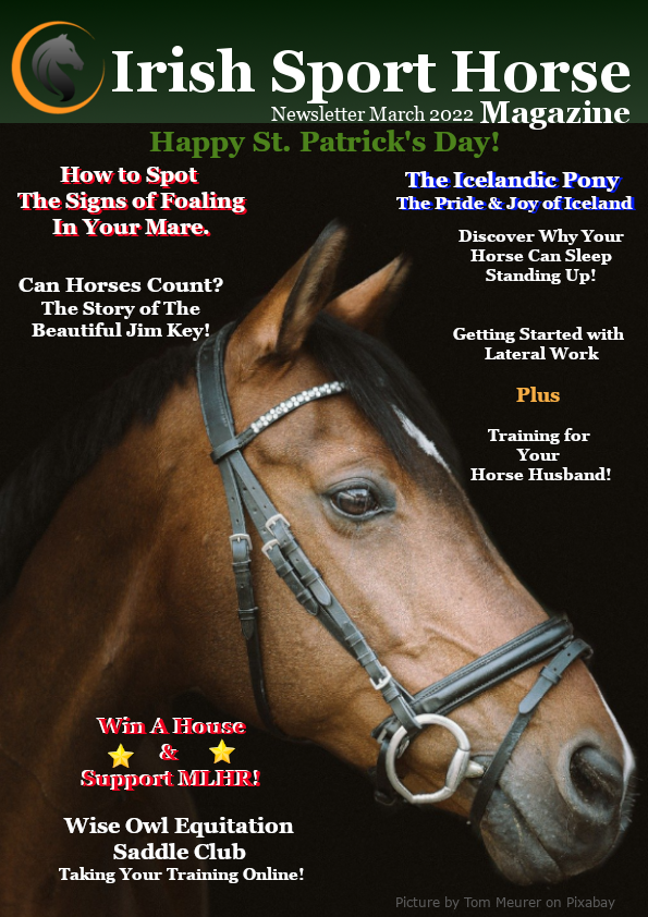 MagazineIrish's tweet image. Happy St. Patrick's Day Everyone! Irish Sport Horse Magazine March 2022 Newsletter is now available to read on our Website;-)irishsporthorsemagazine.com/magazine/