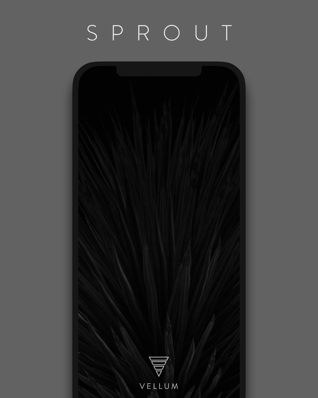 Vellum App on Twitter: Vellum App on Twitter: