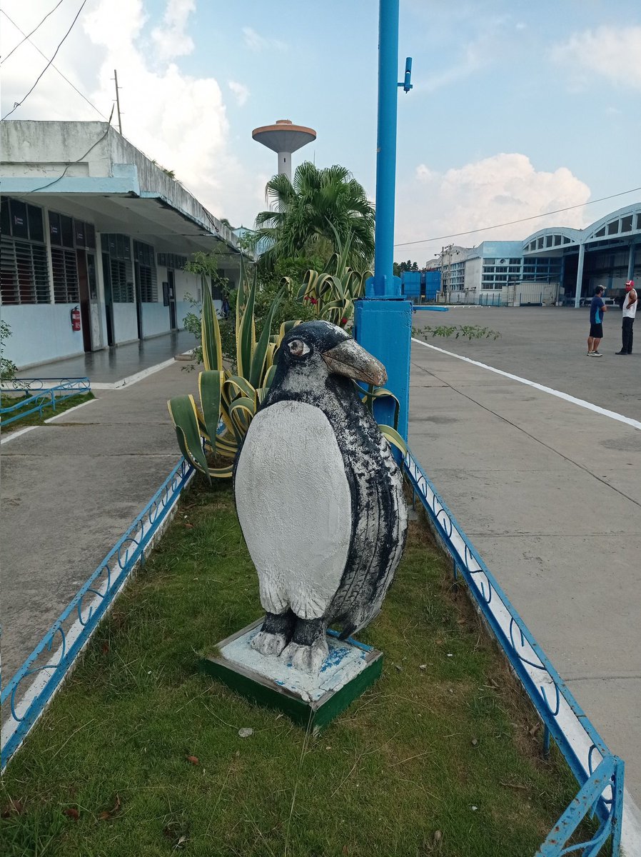 Adolfo Velazquez concepcion (@adolfov43756432) on Twitter photo 