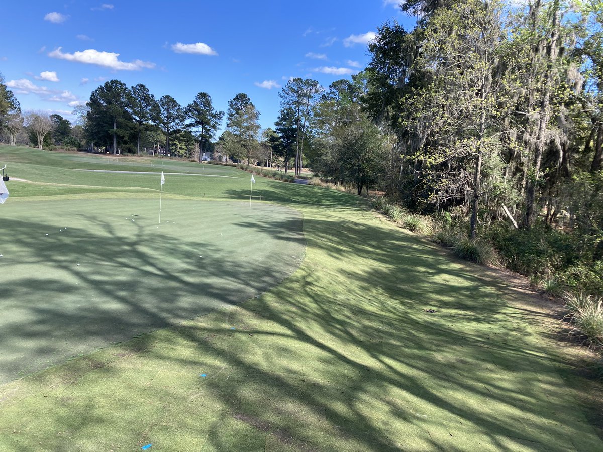 From mud to money. 6 pallets of Primo zoysia went around our chipping green today. Some of which will be incorporated into the green. This will give us a great test plot and help hold up in the dense shade.