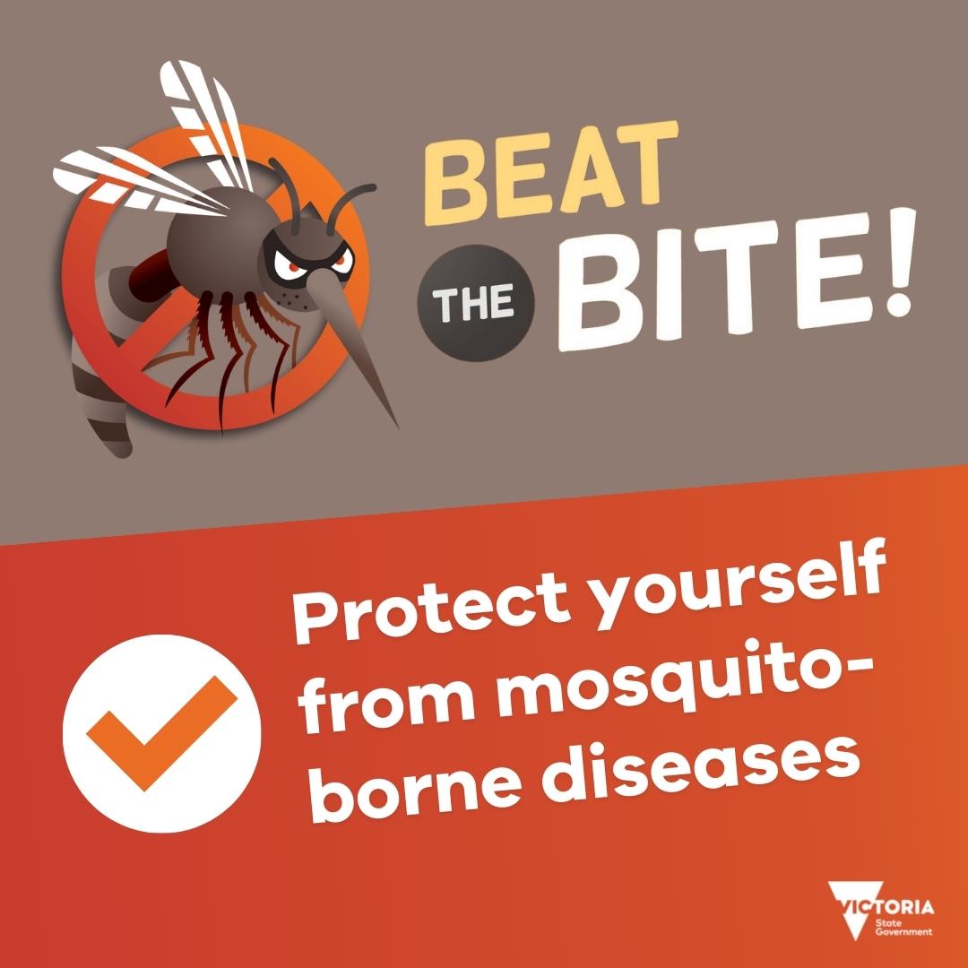 vicemergency's tweet photo. If you're planning to be outside this weekend, just remember - so will the mosquitoes.

Make sure you pack items like mosquito repellent and loose-fitting clothing with firm cuffs to #beatthebite. 🛄 

For more on how to mozzie-proof your holiday, visit: https://t.co/luUdDwwNeK https://t.co/PlaPO9Kday