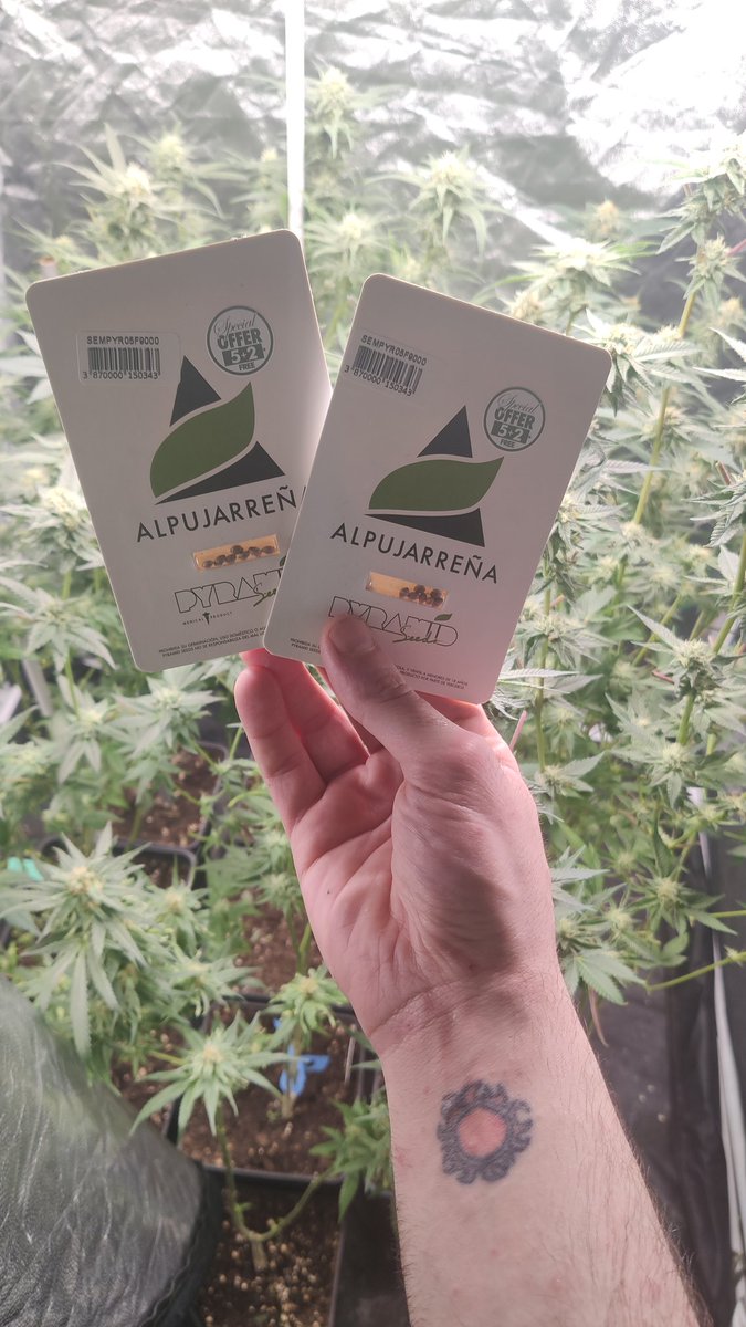 greensouls tweet media