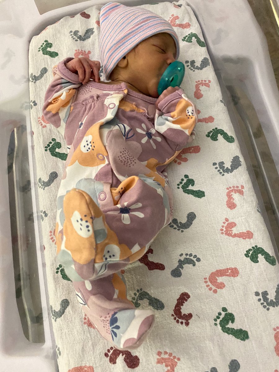 DrYazG's tweet photo. My niece is the best gift that my sister could ever give me. I’m so honored and proud to be her TT 🥺💕. I have so many things to teach and pour into her 🎀❤️. #FirstTimeAunt #BlessedAunt https://t.co/myikjA83am