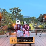 PANDAのツイート画像