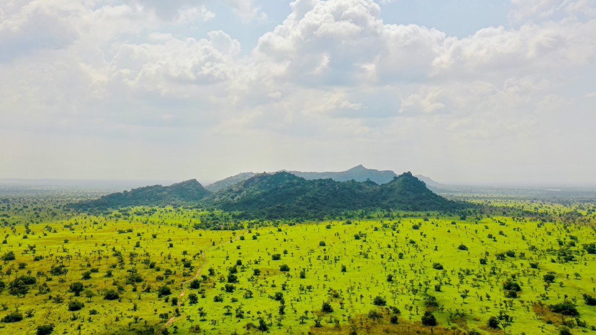 Bronibibini tweet media