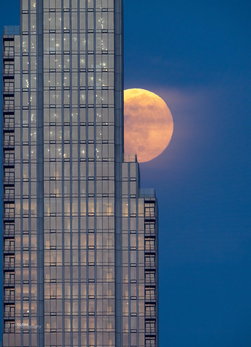 barrybutler9's tweet photo. Ledge Landing.   Thursday with the Moon over Chicago.  #news #weather #ilwx #fullmoon https://t.co/SAvIczhp0z