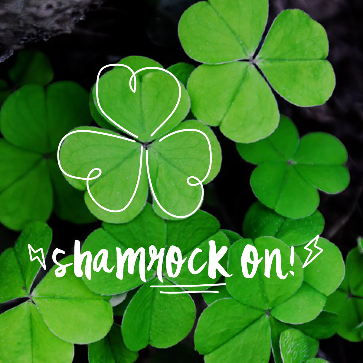 WE HOPE YOUR St. Patrick's Day ROCKS! What do you usually do to celebrate?