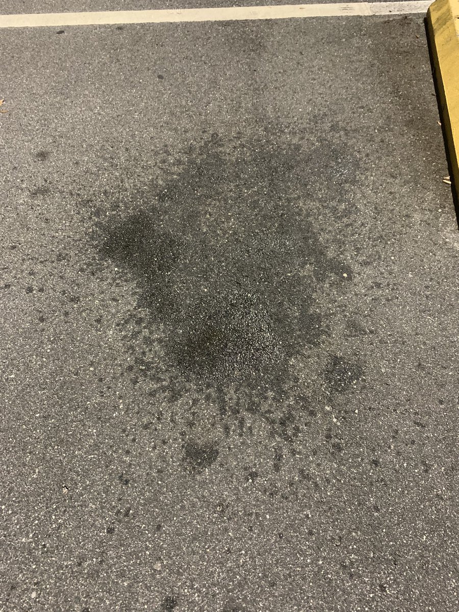 trusoldiernolim's tweet image. Felt great on my walk tonight, #puddleofsweat