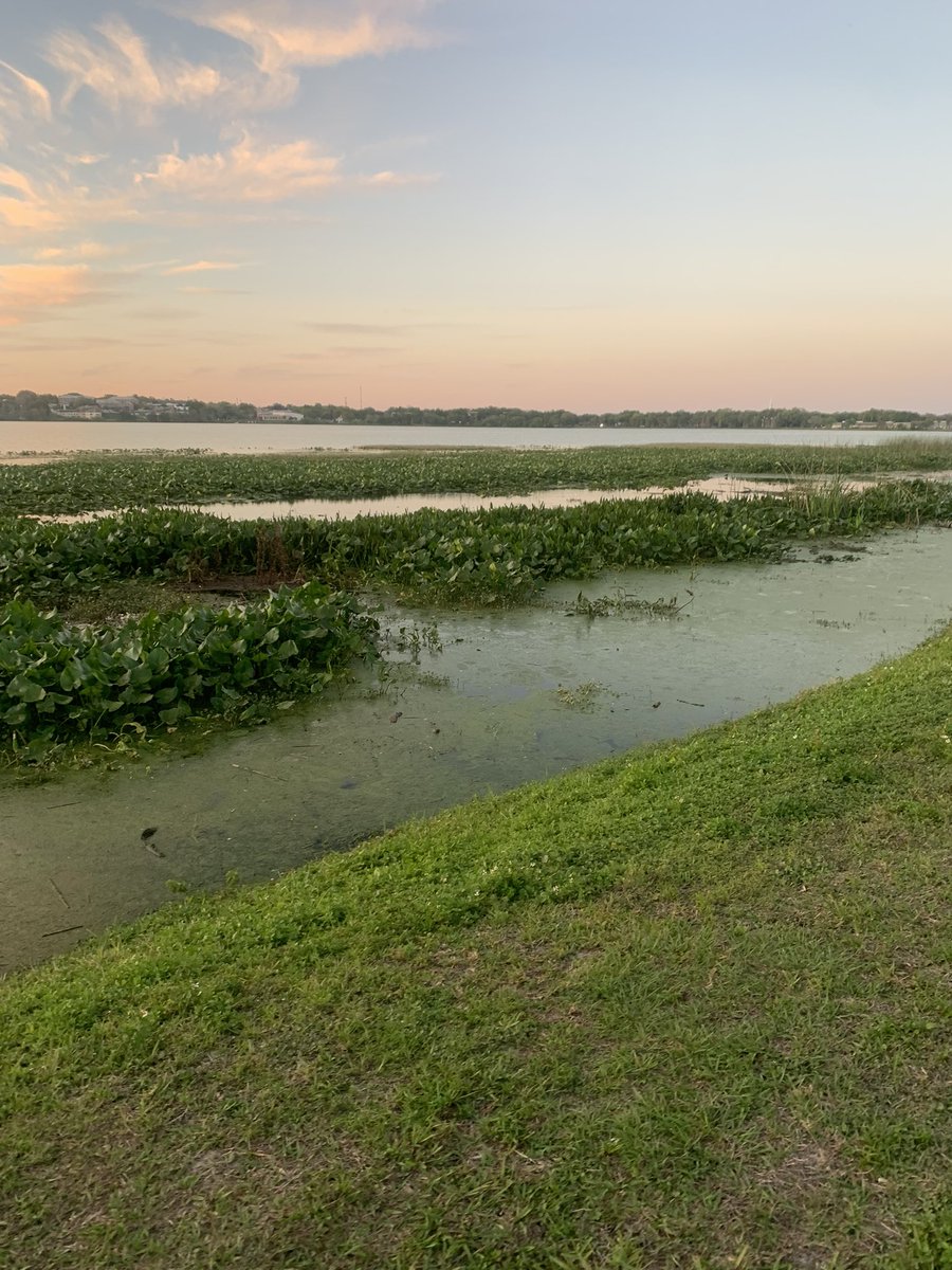 trusoldiernolim's tweet image. Felt great on my walk tonight, #puddleofsweat