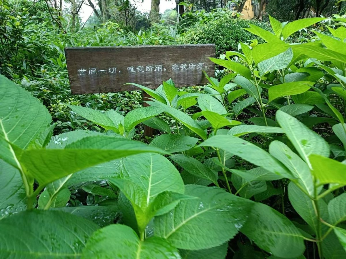 chengzi889's tweet photo. 美好的一天，疫情快快消失吧。#杭州，#杭州spa，#杭州喝茶，#杭州约炮，#杭州楼凤，#杭州外围 https://t.co/JRUwIuZ8uJ