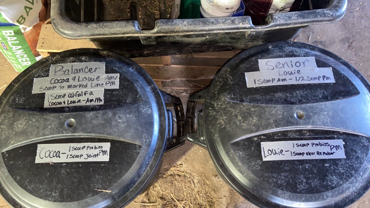 ThatPinto's tweet image. Having my feed in bins rather than just using the bag makes me feel like I have my life together