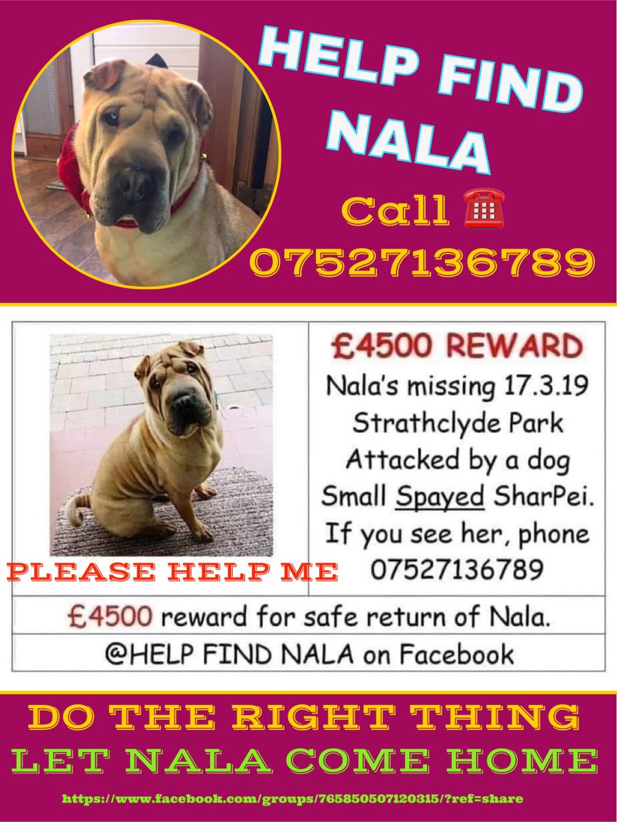 LisaLisaw1's tweet photo. #helpfindnala #missingthreeyears https://t.co/ukRfwdyh9k