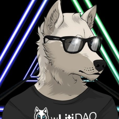 krypto_dani's tweet photo. @wlitidao  damn I love that project 🤩 https://t.co/rbNnwFApPy