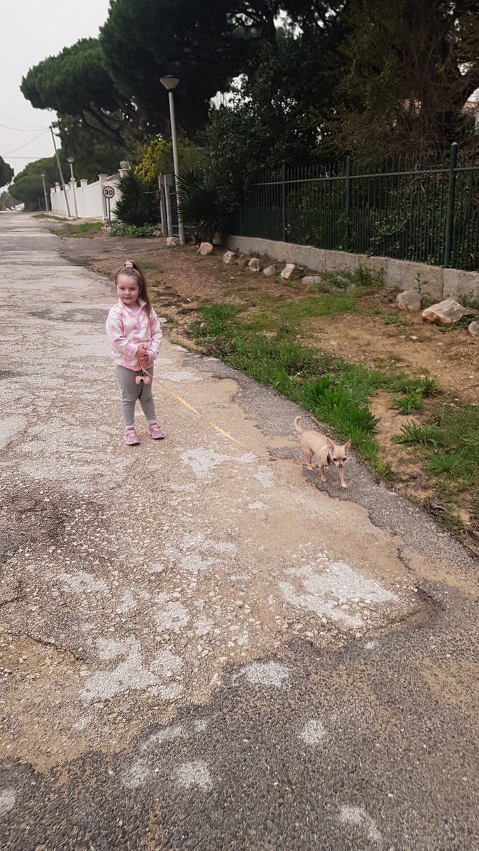 becca2085's tweet photo. @TynewyddNursery we have arrived safely with my best friend Peppa pig the dog https://t.co/WFuJCXvLss