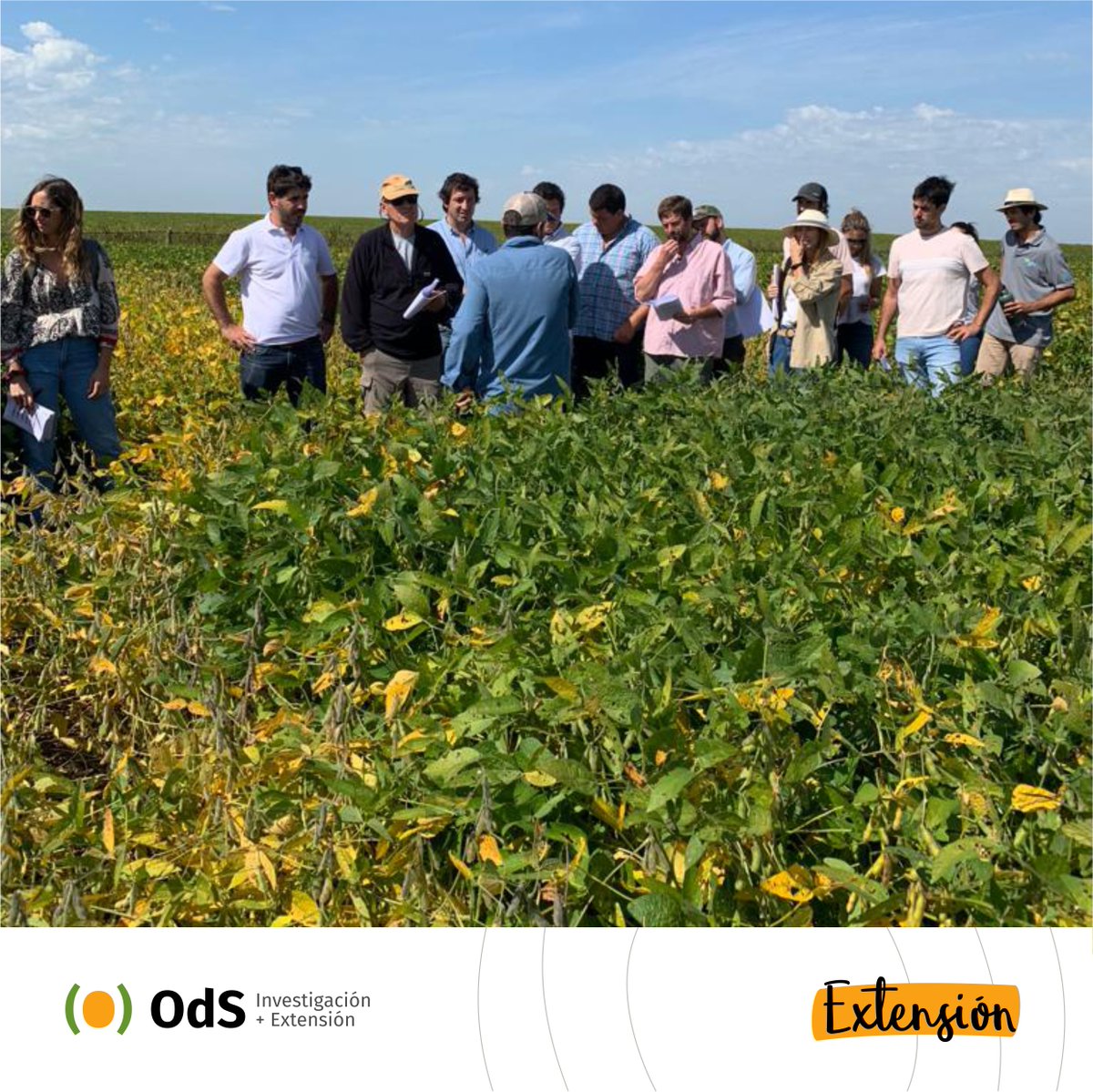 ¡Gracias por acercarse! 💯

Seguimos multiplicando oportunidades juntos para seguir mejorando juntos las decisiones con los productores. 

#ExtensiónODS