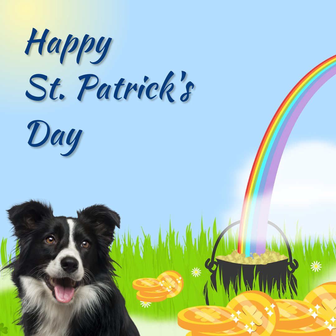 JSPHVAC's tweet image. May the road rise to meet you
May the wind be always at your back
May the warm rays of sun fall upon your home
And may the hand of a friend always be near.

Happy #Saintpatricksday