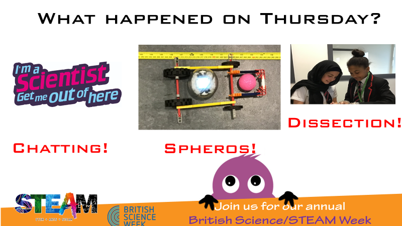 SteamTcolc's tweet photo. Day 4 of TCOLC STEAM Week. Students really enjoyed working with @aveea_org programming Spheros and chatting to scientists on @imascientist. The day ended with intrigued students looking at the inner workings of body organs! #tcolcsteamweek #bsw22 #steam #tcolcsteam https://t.co/7ytITcGajh