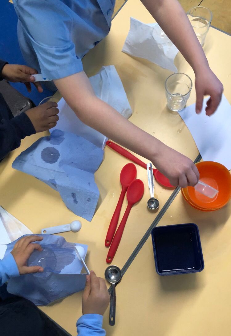 ASPNW2's tweet photo. Year One have been testing to see which paper Ms Pearse should use to soak up her cat’s water #absorbency #properties #MsPearse’sCat #scienceweek2022 @stjohnscen20 https://t.co/U0hCSHYMrO