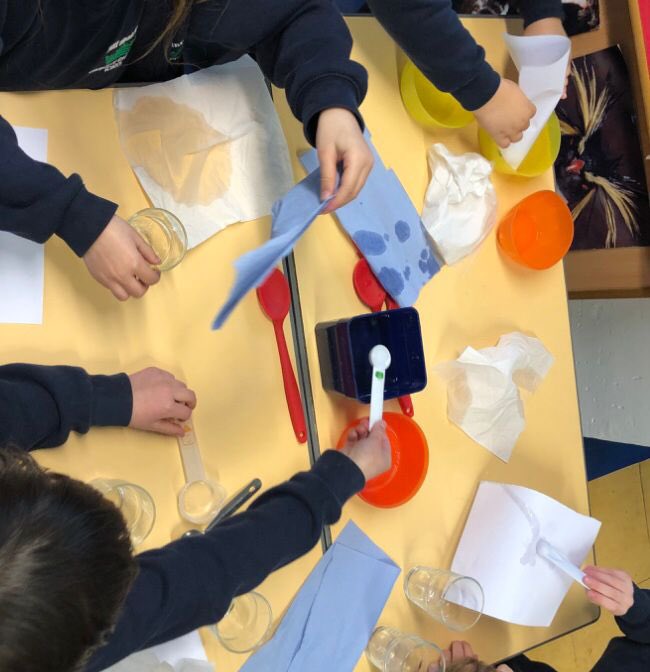 ASPNW2's tweet photo. Year One have been testing to see which paper Ms Pearse should use to soak up her cat’s water #absorbency #properties #MsPearse’sCat #scienceweek2022 @stjohnscen20 https://t.co/U0hCSHYMrO