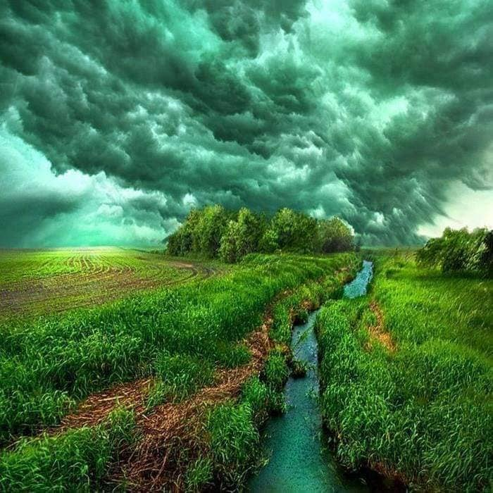 Awesome
#naturephotography