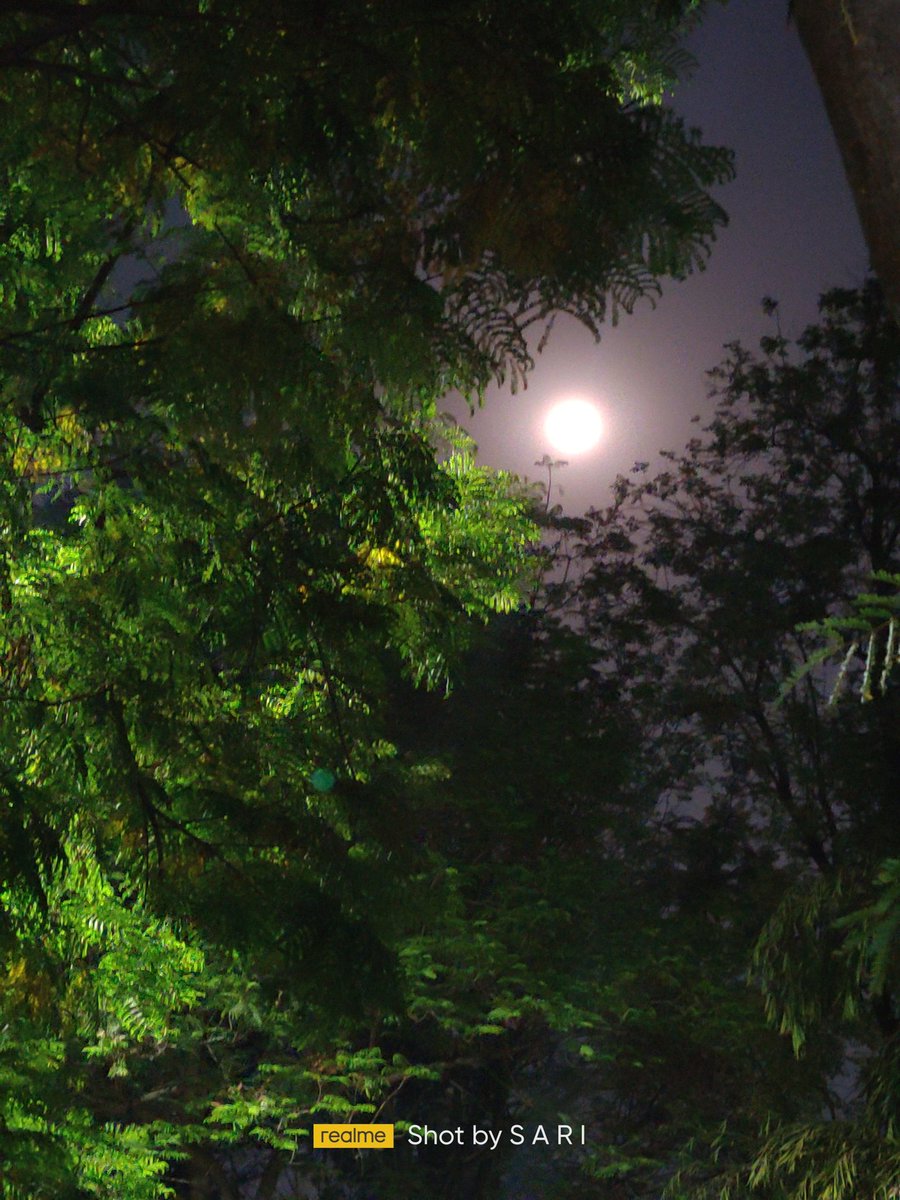 SarithaKothuru's tweet photo. Yes... I'm a Selenophile 🌕✨
(PC: Sari)  #FullMoon #Holi2022 #mobilephotography #PhotoOfTheDay @HiWarangal @HiHyderabad https://t.co/JlX0FnvCLN