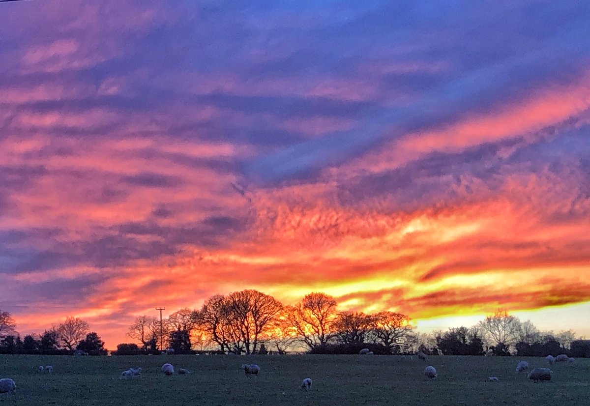 Mold Plastic Reduction tweet media