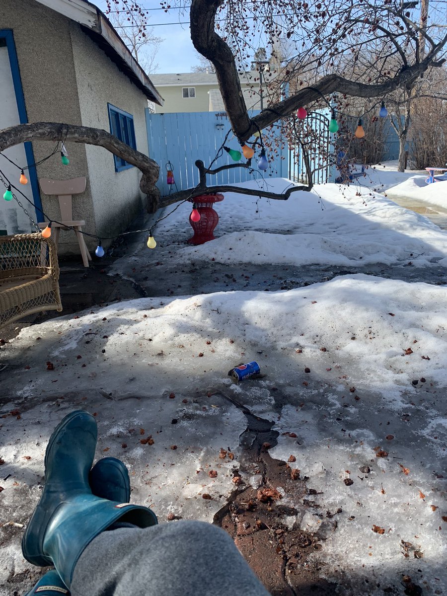 KinnonRoss's tweet photo. Spring in #yeg is tricky as a dog owner. My backyard is a #poopbomb https://t.co/VslTvgK9kR