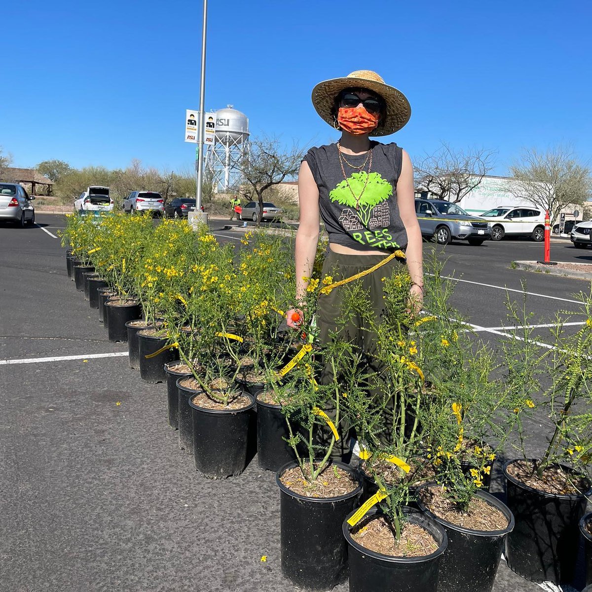 TreesMatterAZ's tweet photo. First SRP Shade Tree Distribution of the season, done! ✅🌳 On Saturday we distributed over 1,000 trees to the community in east Valley!! We look forward to the next one later this month! #treesmakepeoplehappy #treesmatteraz #treesmatter #srp #srpshadetreeprogram #srpshadetrees https://t.co/CjojgTCBQx