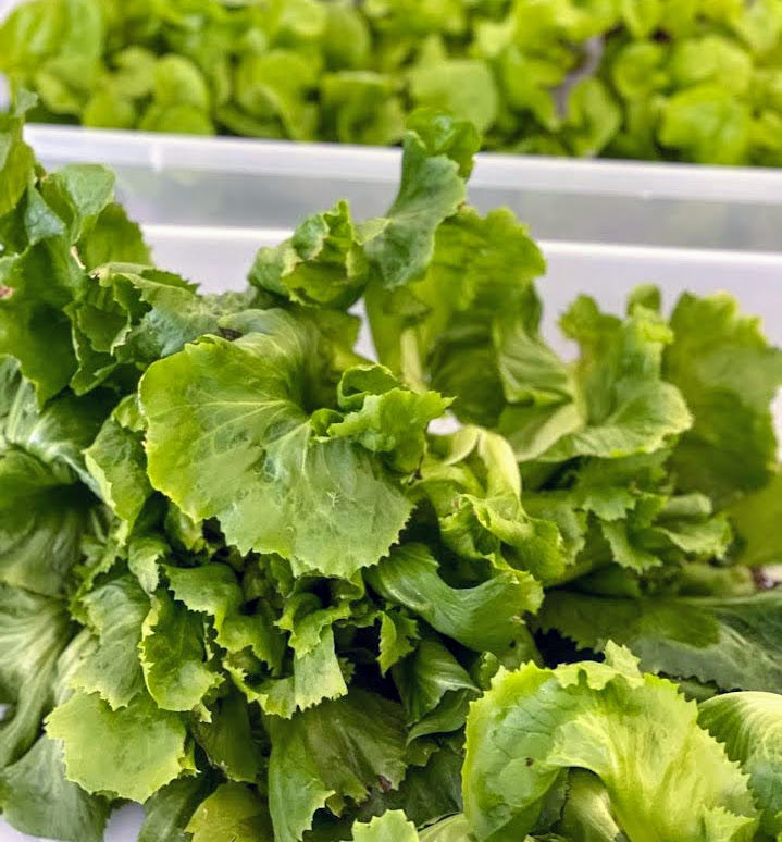 haymakermarket's tweet photo. Two Markets this Week! - https://t.co/TFw0BXMemN https://t.co/eIfjxAMDSR