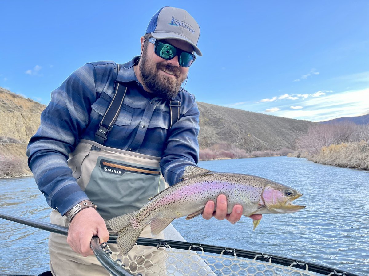 First fish on a dry fly this year #skwalahatch #trout #yakimariver #flyfishing #pnwfishing #topflyguides