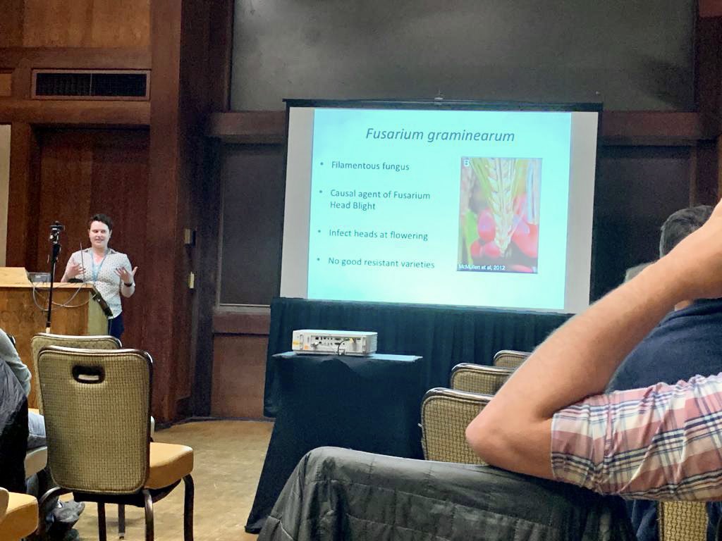 TheTrailLab's tweet image. Our very own @RebeccaNShay gave a talk yesterday about her work on Fusarium graminearum biolfims. #Fungal22
