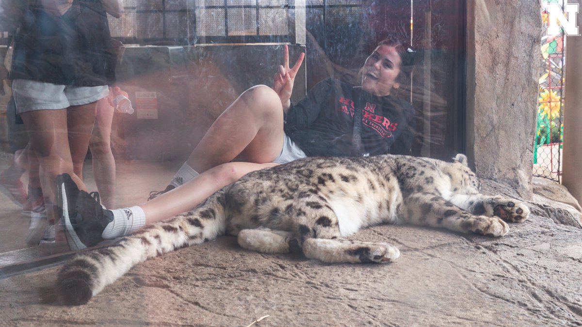 Nebraska Women's Basketball tweet media