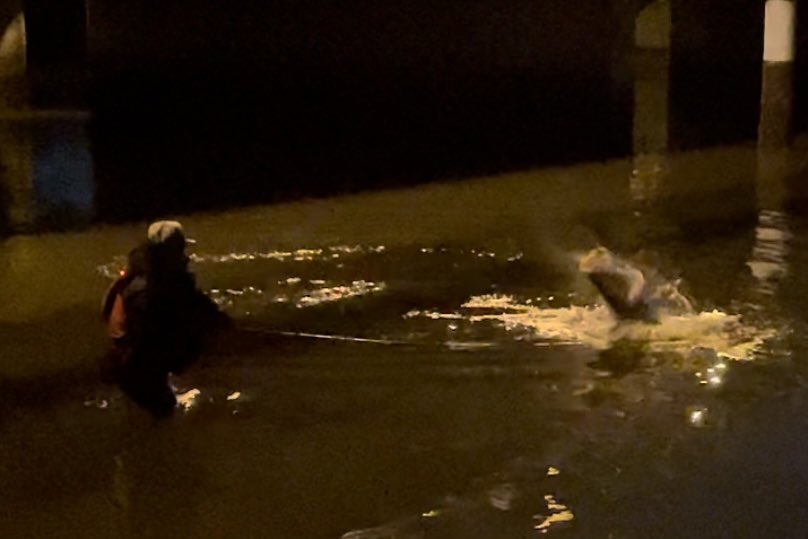 تويتر アカメ البحث في تويتر تويتر アカメ البحث في تويتر