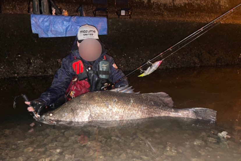 تويتر アカメ البحث في تويتر تويتر アカメ البحث في تويتر