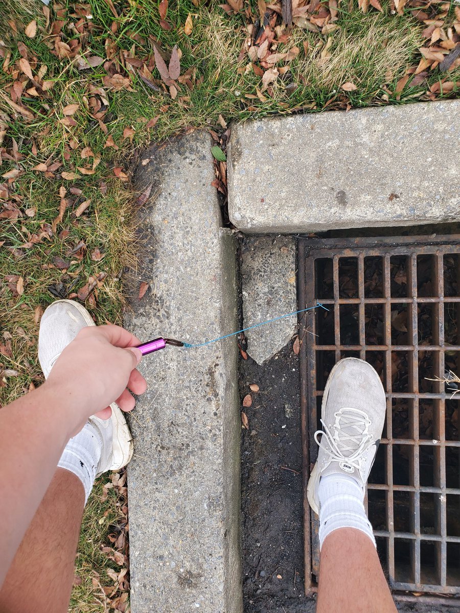 Stevo_34 tweet media